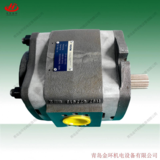 德国福伊特油泵VOITH IPV/-125/470 IPV6-125 101 IPV6-80 101