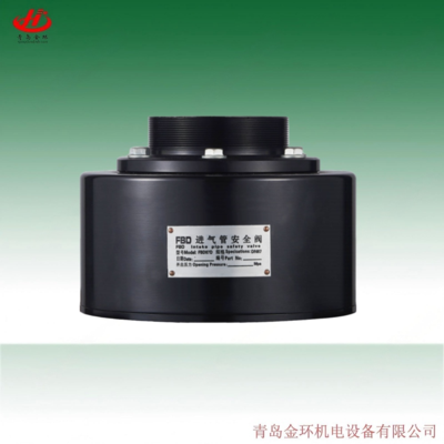 HOERBIGER &nbsp;EVM防爆泄压阀173EVM 320EVM 420EVM 565EVM 735EVM