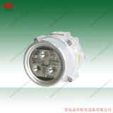 阿泰森Atexon IEP 火花探测器V300EX VF300EX V300EXHT VS300EX VMR200EX VRM200EX RFD-3000X3IR RFD-2000XUV/IR
