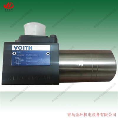 福伊特voith阀 DS-100-PO-300-S-P DK55.1-6-80P-391K 哈雷H+L