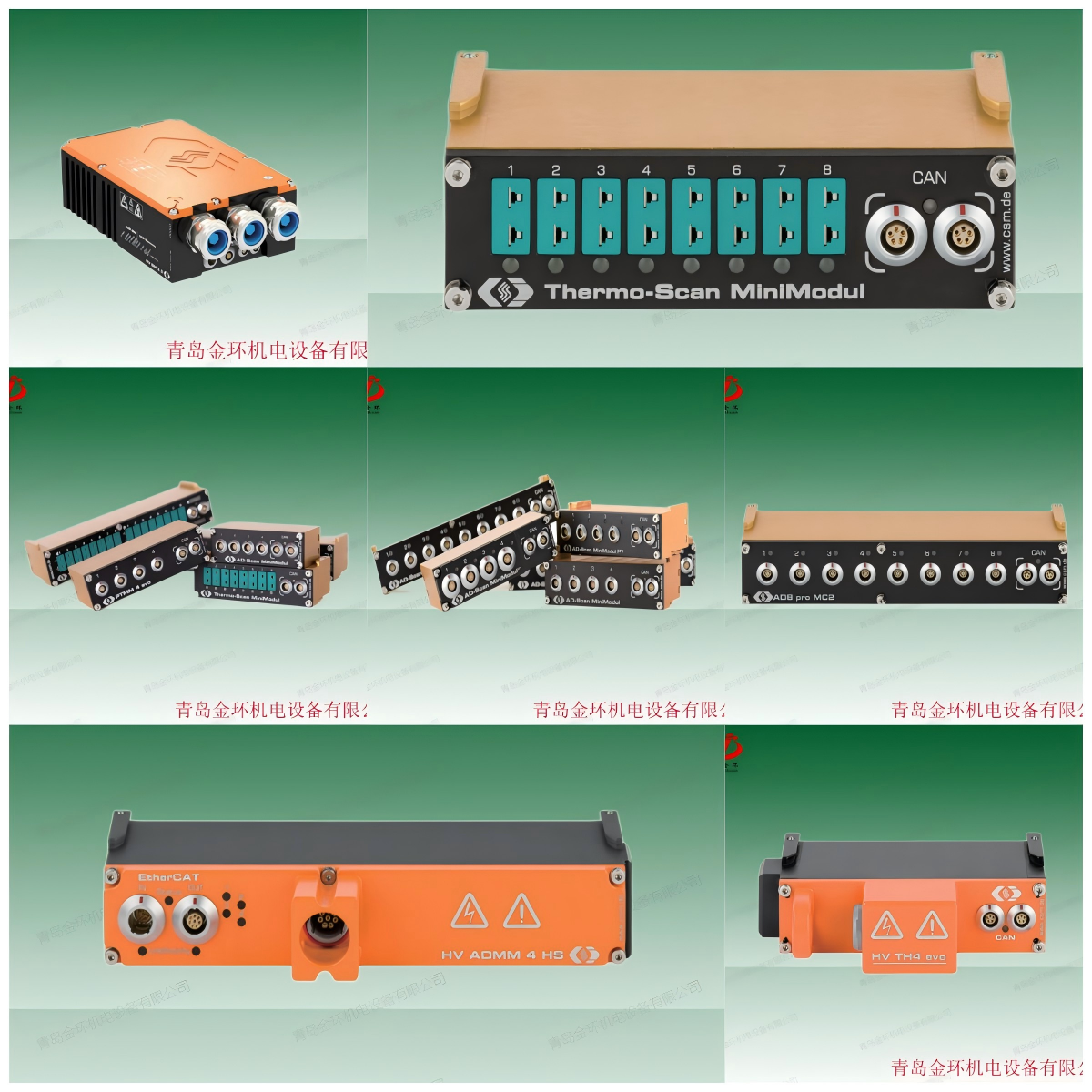 维克多 Vector .png